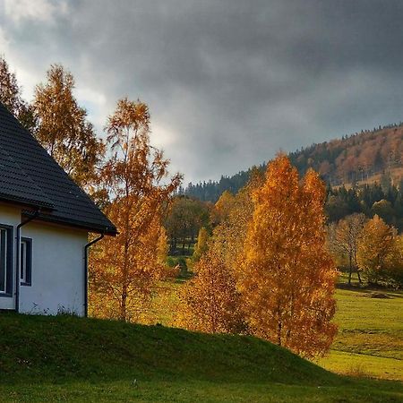 Rezydencja Ostoja Строне-Слёнске Экстерьер фото